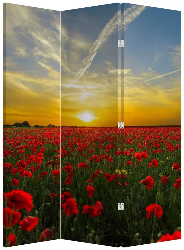 Paravan - Câmp cu maci (126x170 cm)