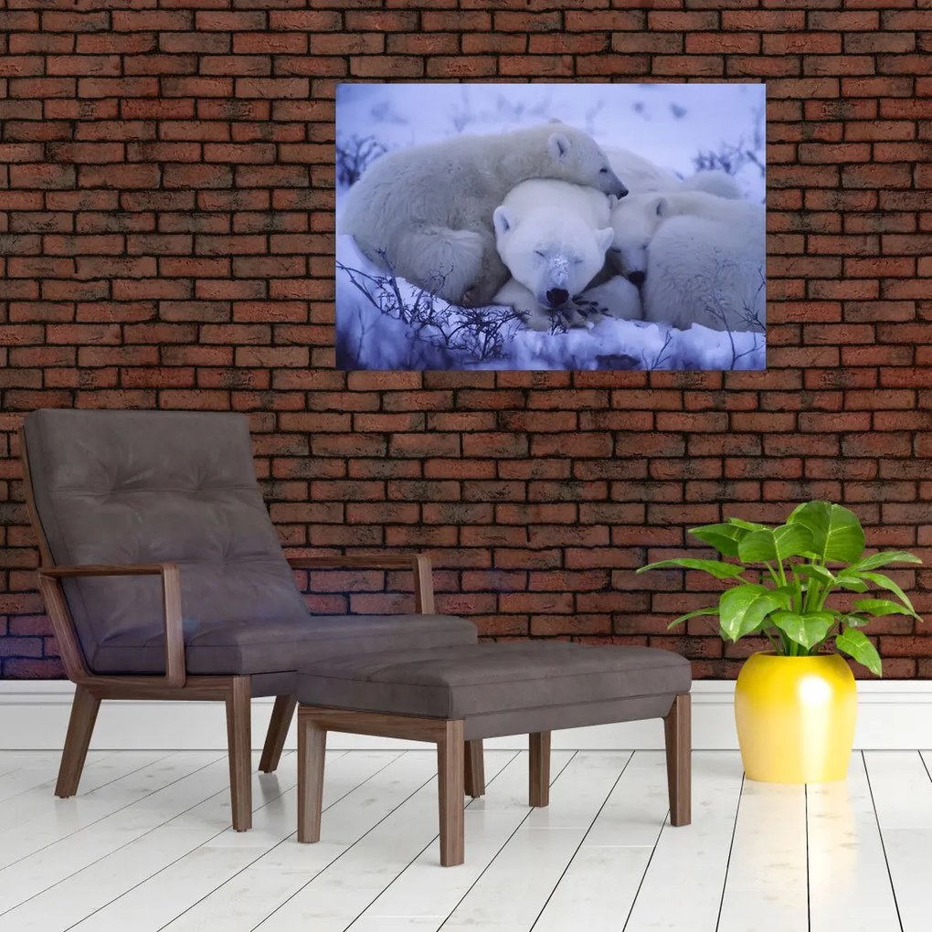 Tablou - Urși polari (90x60 cm)