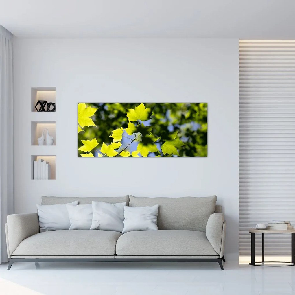 Tablou - frunze de arțar (120x50 cm)