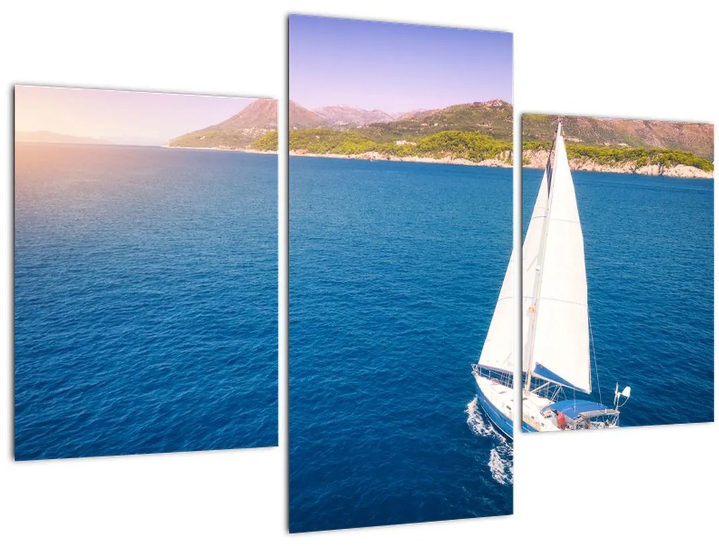 Tablou - Excursie cu navă (90x60 cm)