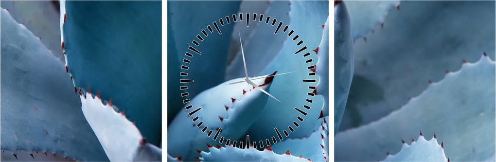 Tablou - Agave (cu ceas) (90x30 cm)
