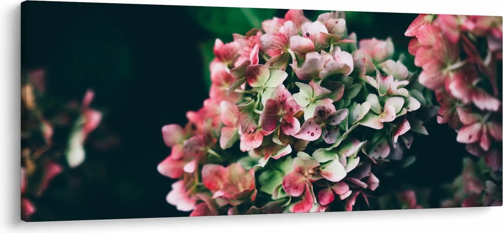 Tablou - Hortensie (120x50 cm)