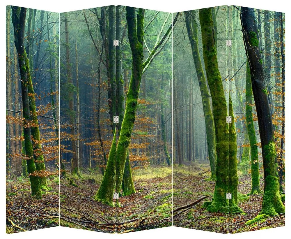 Paravan - Pădure (210x170 cm)