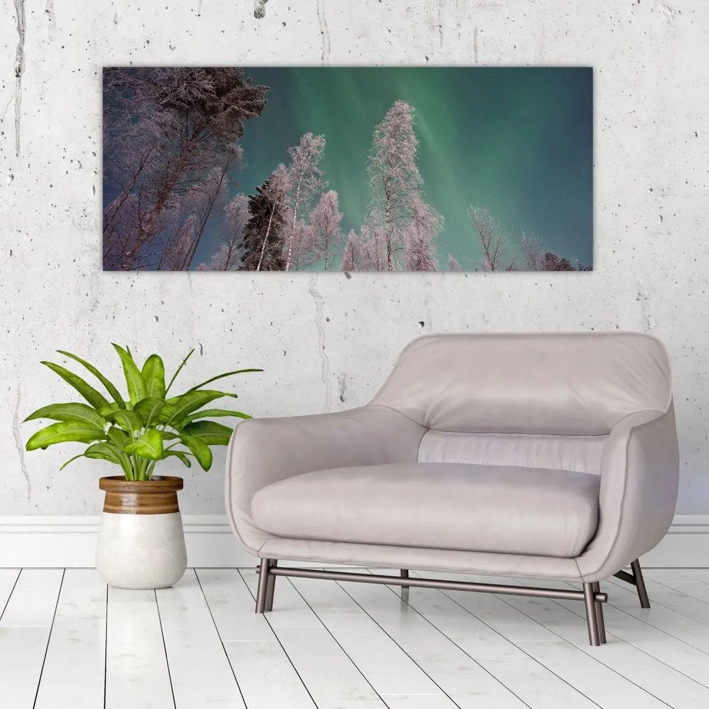 Tablou cu aurora borealis deasupra pomilor înghețați (120x50 cm)