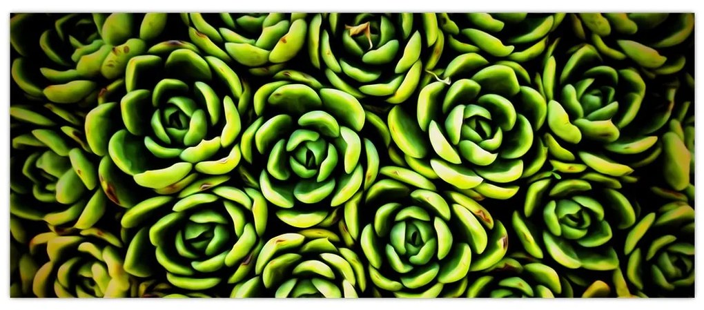 Tablou cu flori de piatră (120x50 cm)