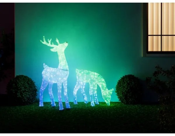 Ren LED RGBW dimabil de exterior Twinkly TW3RS200SPP-TEU 240xLED IP44 Wi-Fi