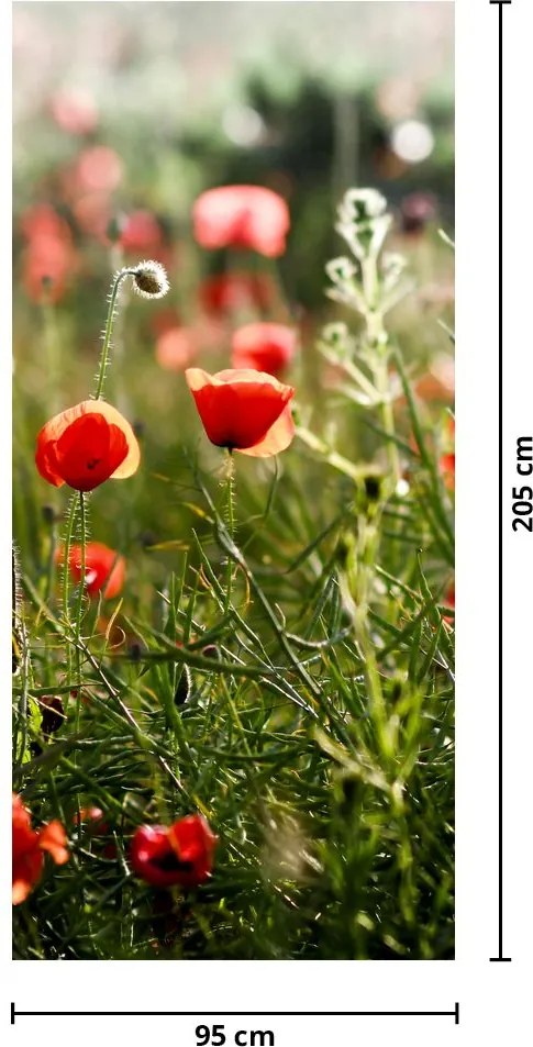 Fototapet pentru ușă - Maci (95x205cm)