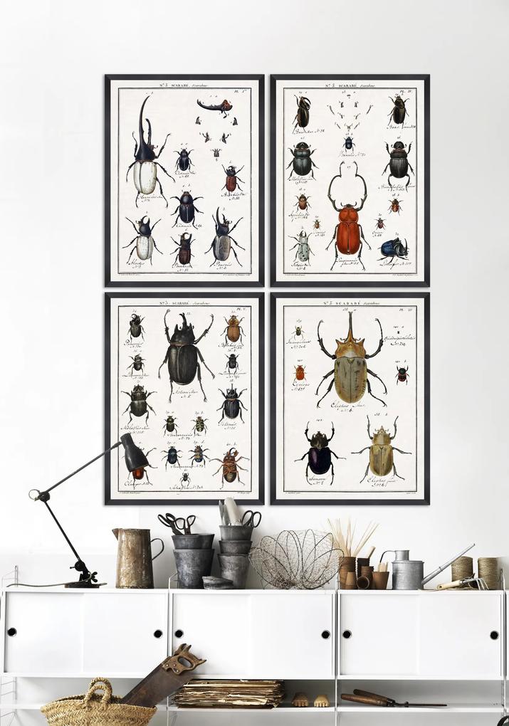 Tablou Framed Art Entomology IV