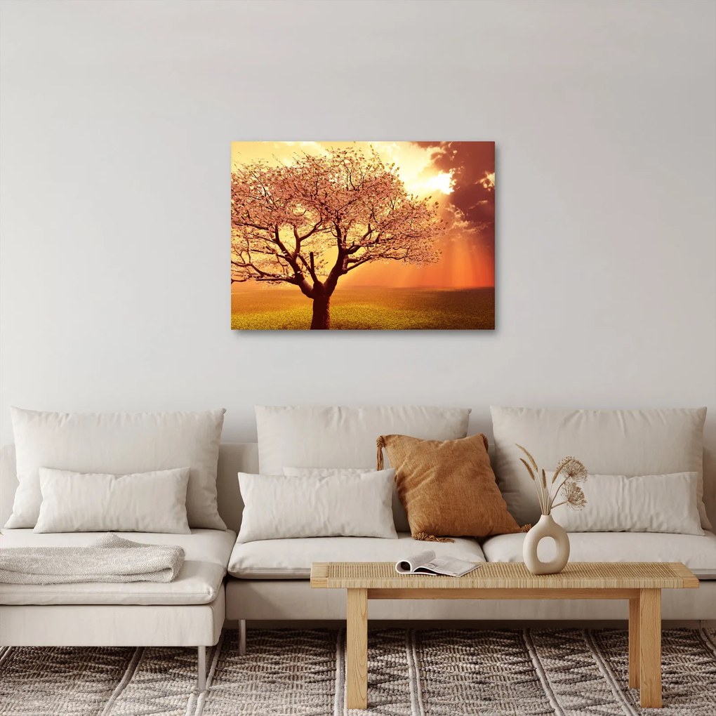 Tablou cu razele lui Dumnezeu (70x50 cm)