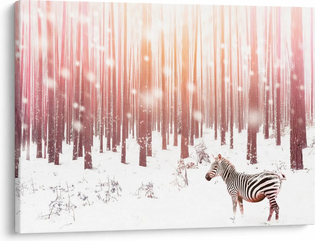 Tablou - Zebra în pădurea înzăpezită (70x50 cm)