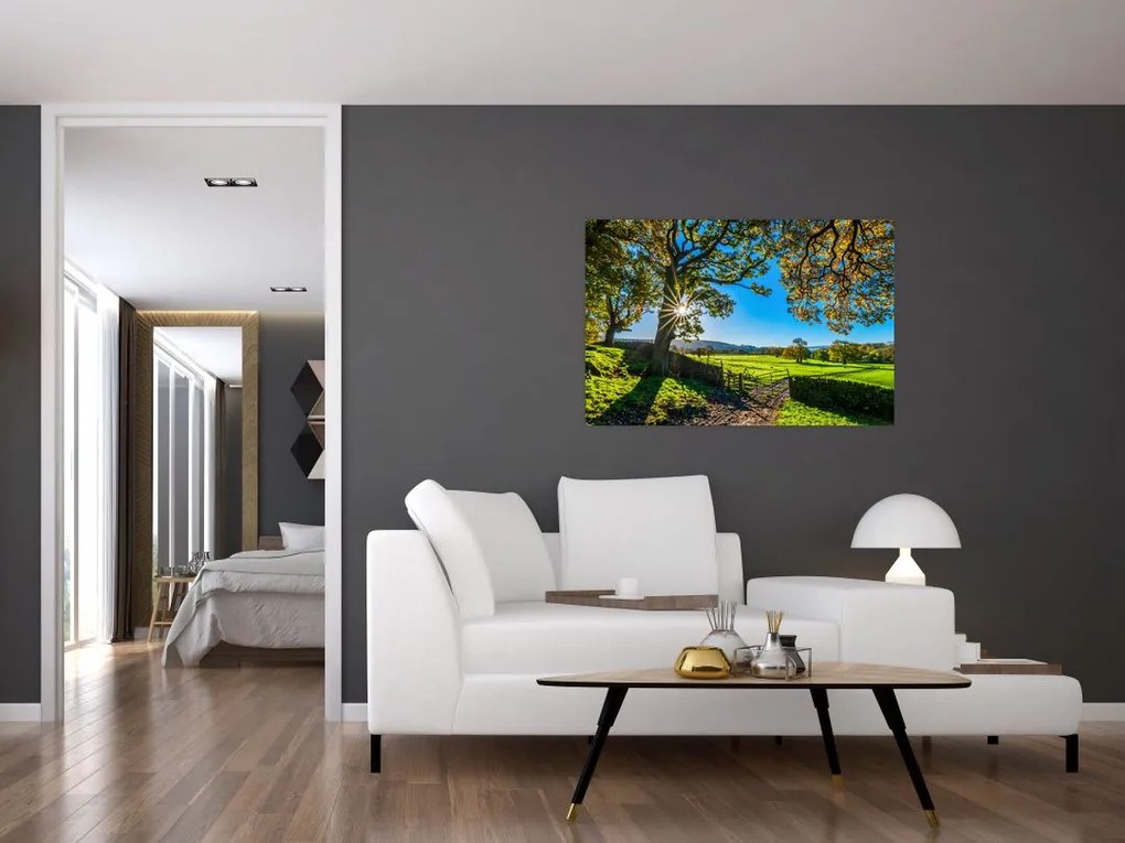 Tablou Privire la câmp (90x60 cm)