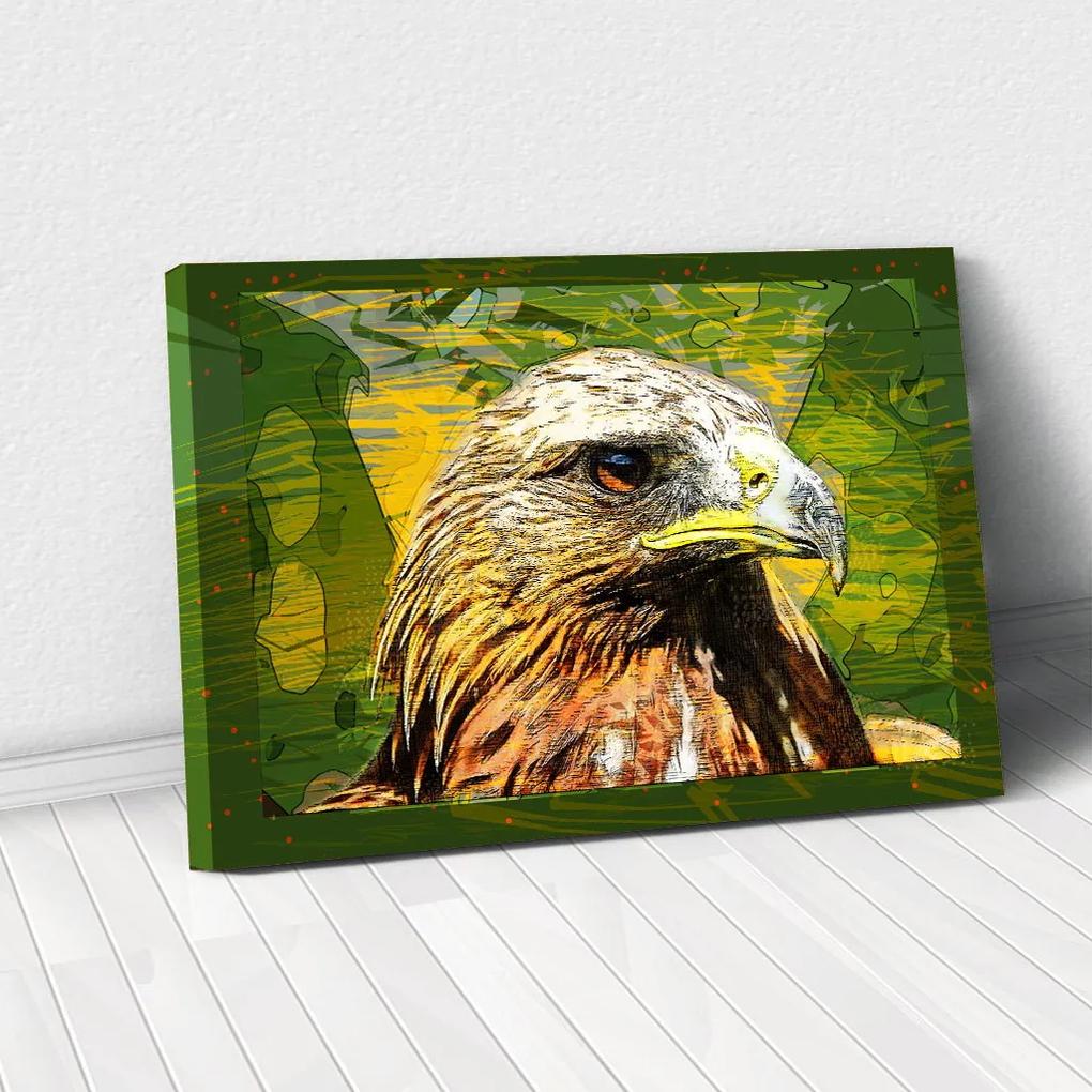 Tablou Canvas - Vultur cromatic 80 x 125 cm