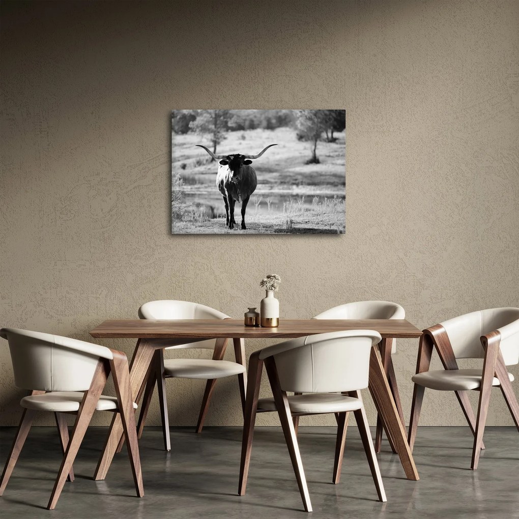 Tablou - Vacă,alb-negru (70x50 cm)