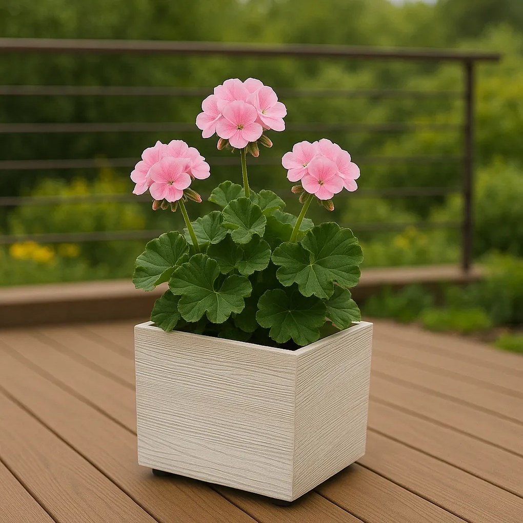 Ghiveci MADERA SQUARE ECO WOOD 28,8 cm , alb, S