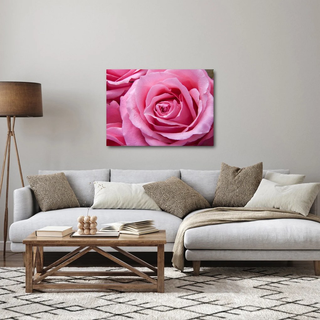 Tablou cu trandafir (70x50 cm)