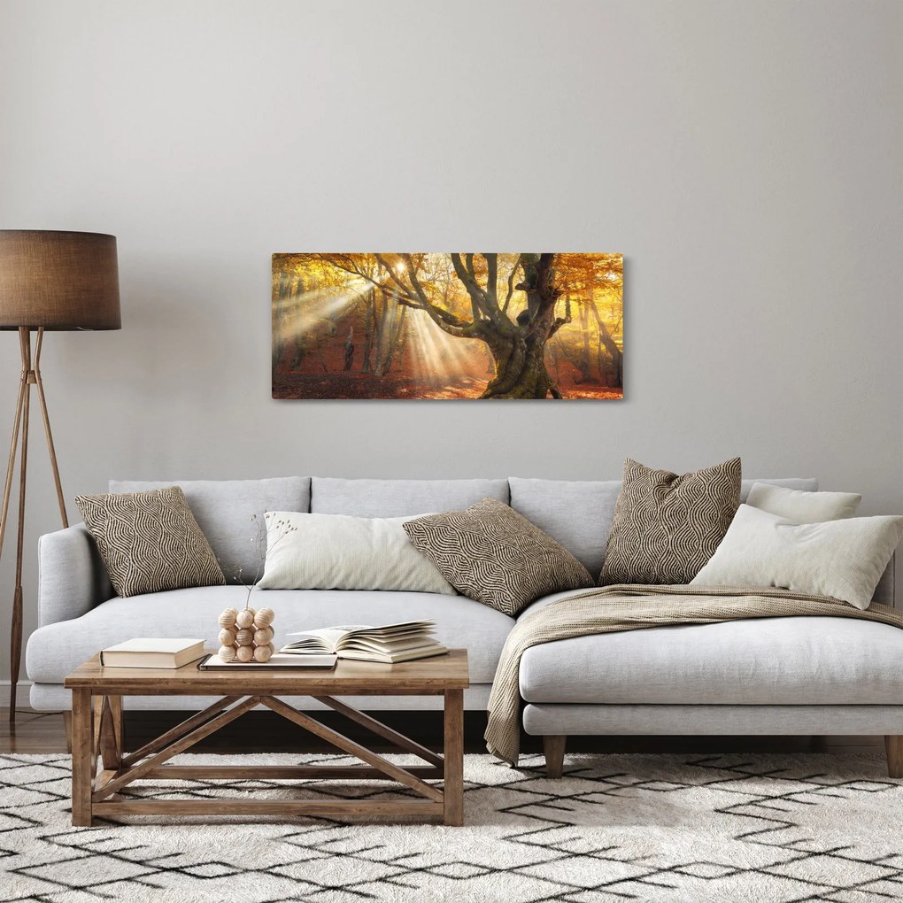 Tablou - Lumina de toamnă (120x50 cm)