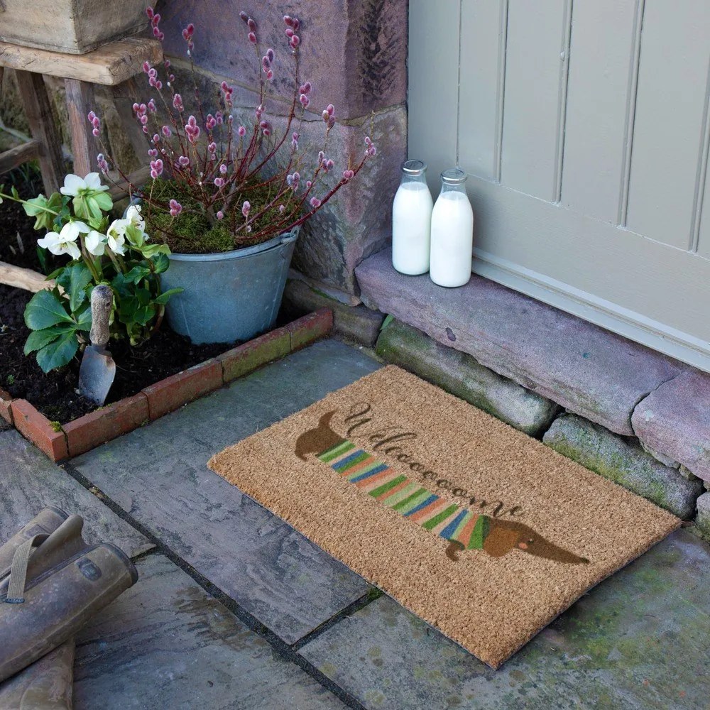 Covoraș de intrare din fibre de nucă de cocos 40x60 cm Welcome Sausage Dog – Artsy Doormats