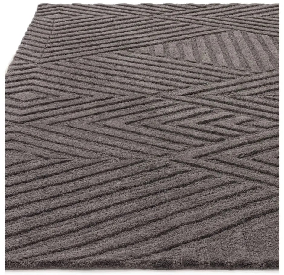 Covor gri antracit din lână 160x230 cm Hague – Asiatic Carpets