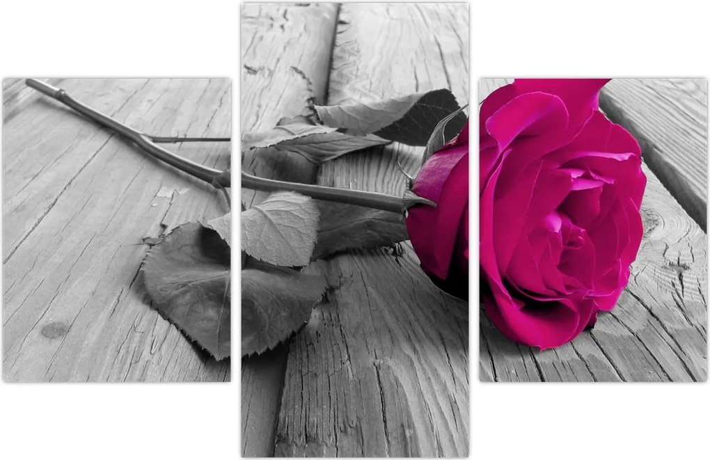 Tablou - Trandafir roz (90x60 cm)