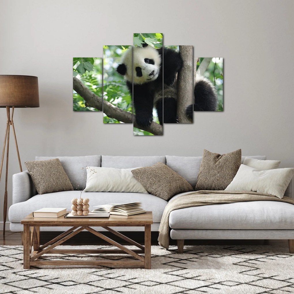 Tablou - Panda in copac (150x105 cm)