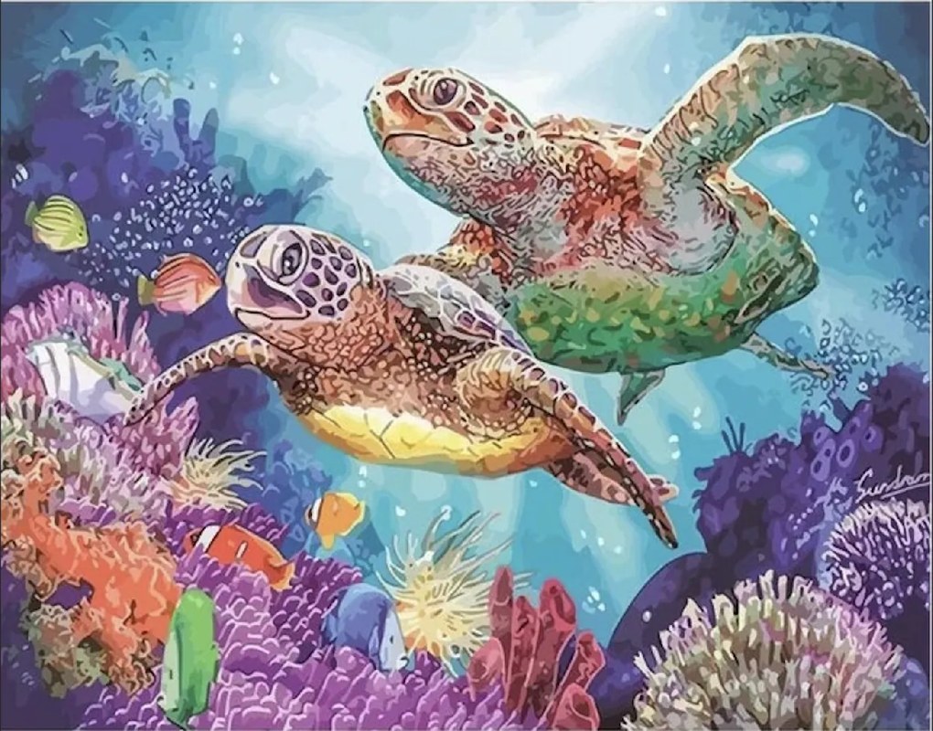 Pictura pe numere cu un cadru "Țestoase" 50x40 cm
