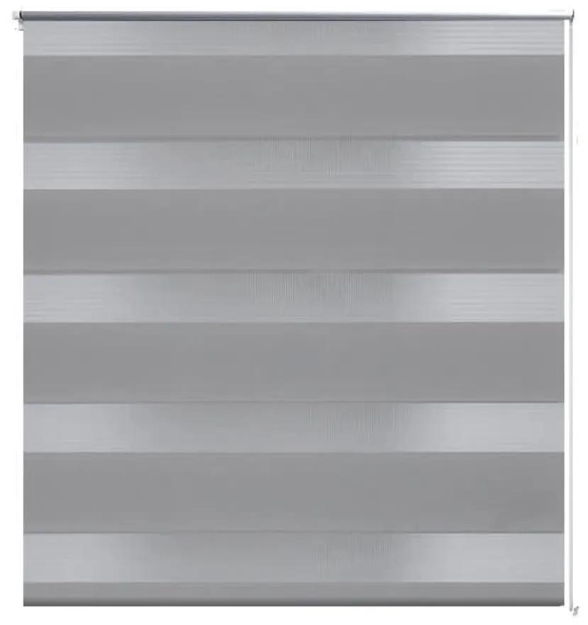 240191 vidaXL Jaluzea tip zebră, 60 x 120 cm, gri