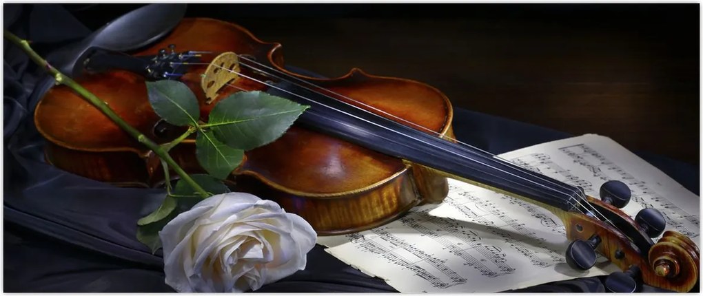 Tablou - Trandafiri și vioară (120x50 cm)