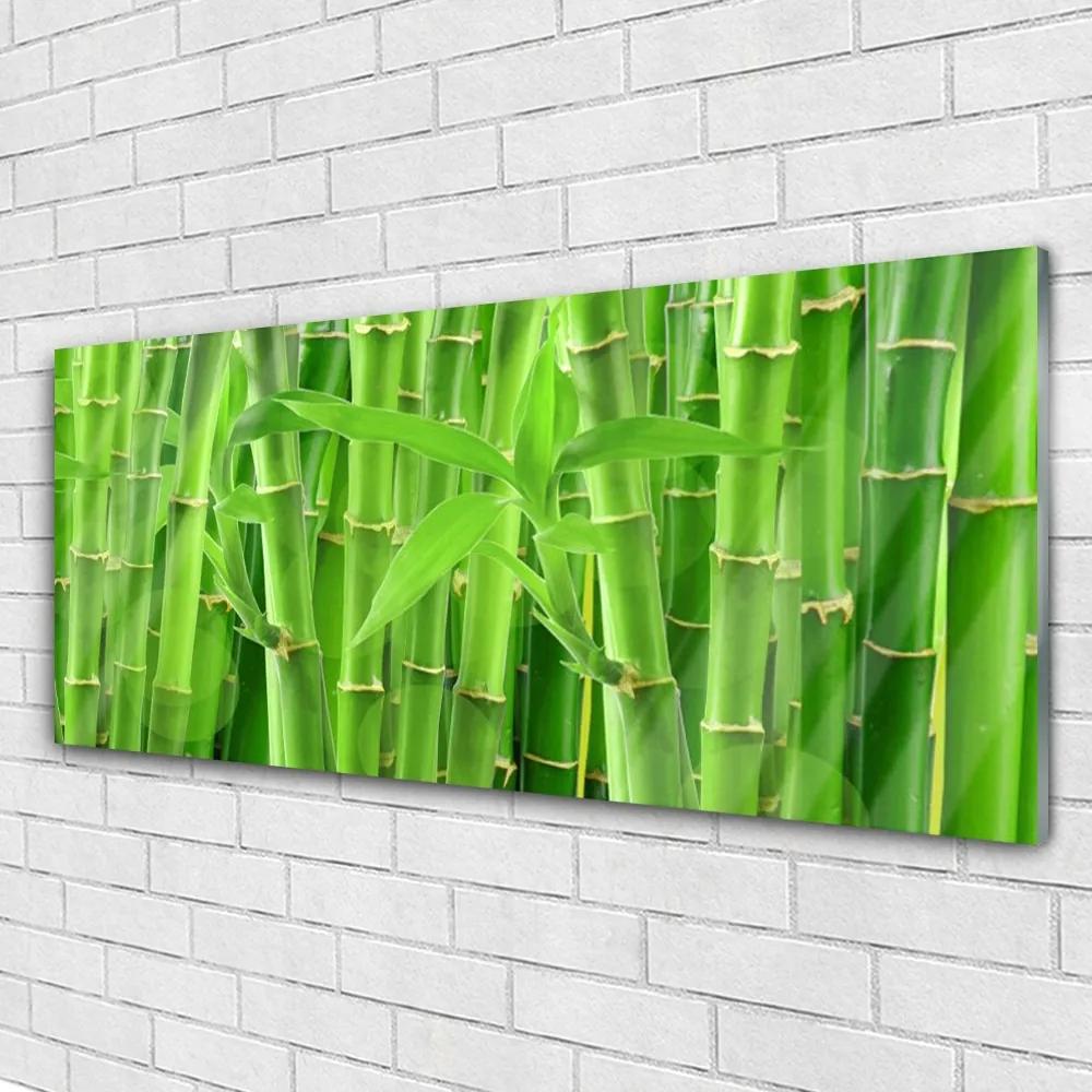 Tablouri acrilice Bamboo Peduncul Floral Verde