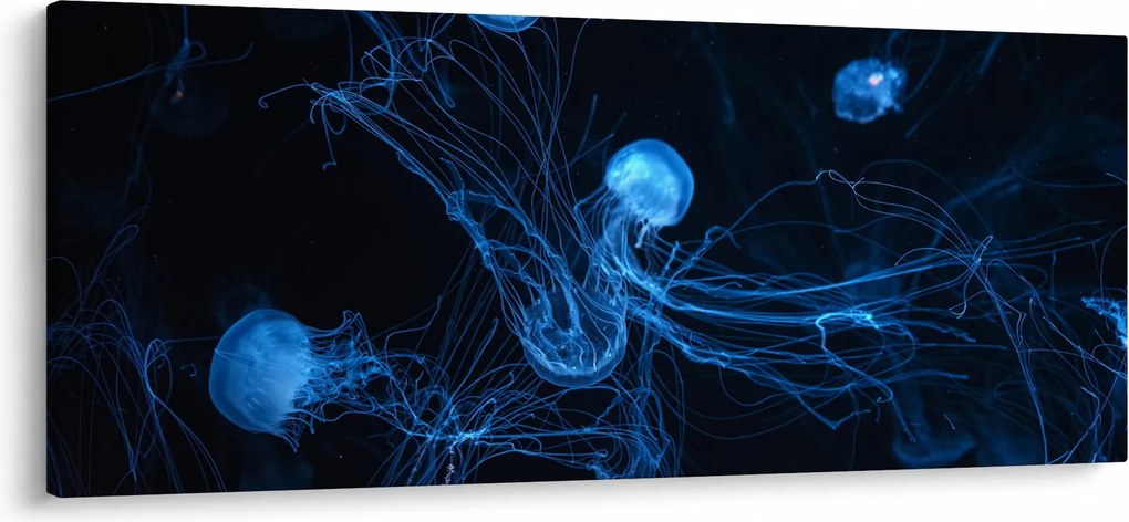 Tablou - Meduză (120x50 cm)