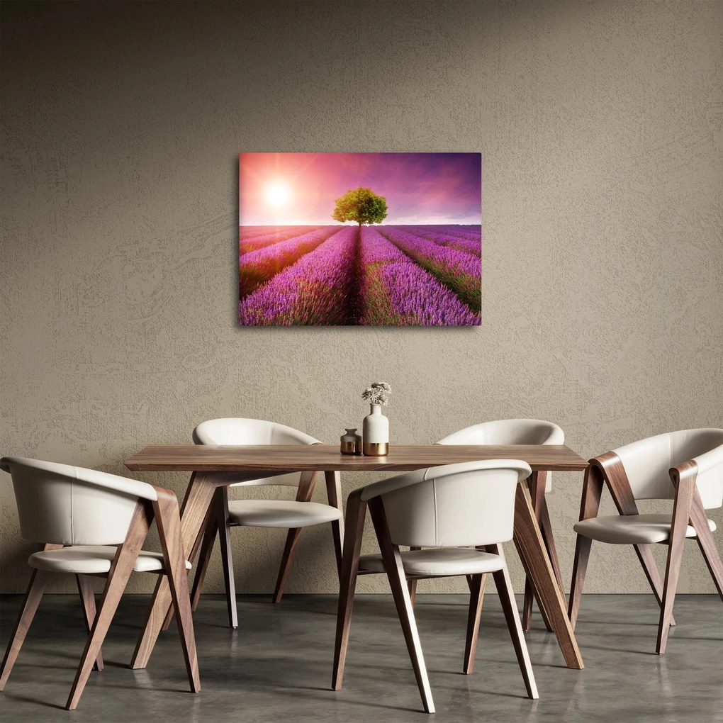 Tablou câmp cu lavandă (70x50 cm)