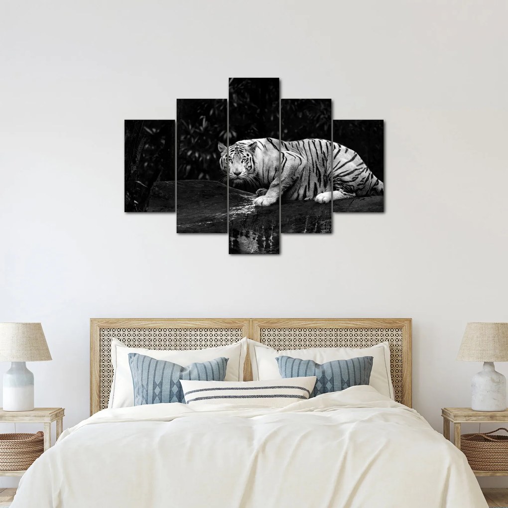 Tablou - Tigru alb, alb-negru (150x105 cm)