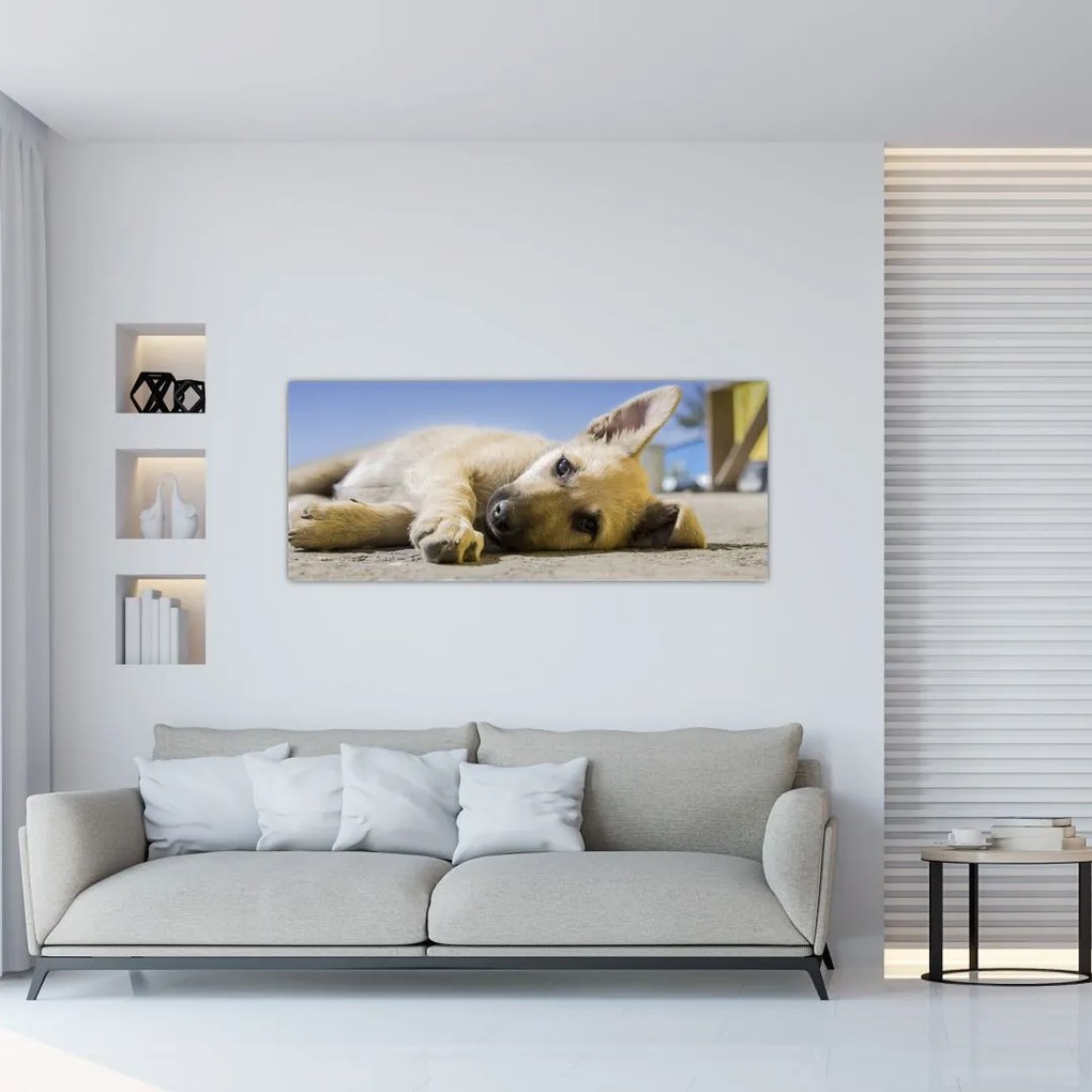 Tablou cu cățeluș dormind (120x50 cm)