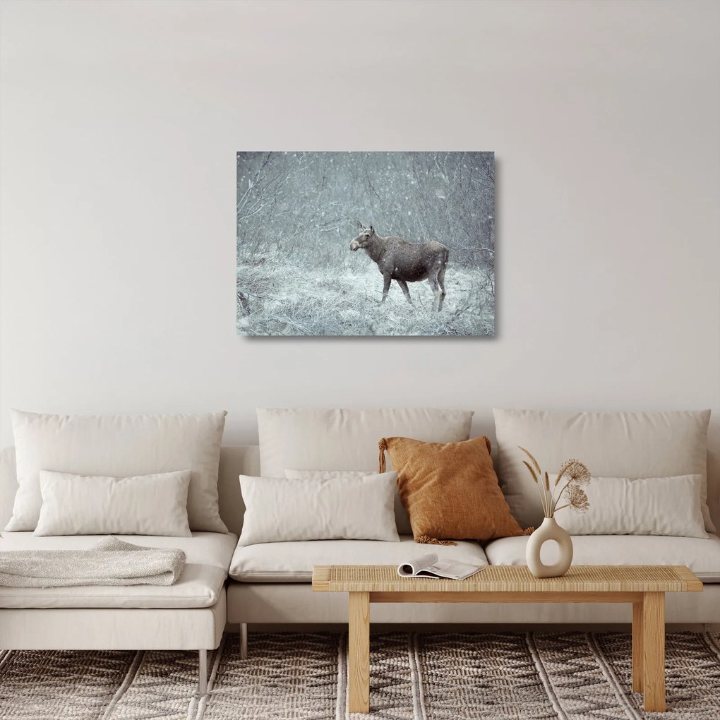 Tablou pe sticlă - Elan într-o pădure înzăpezită (70x50 cm)