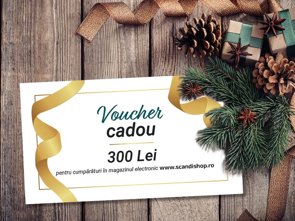 Voucher cadou pentru 300 Lei Formular cupon: Electronic