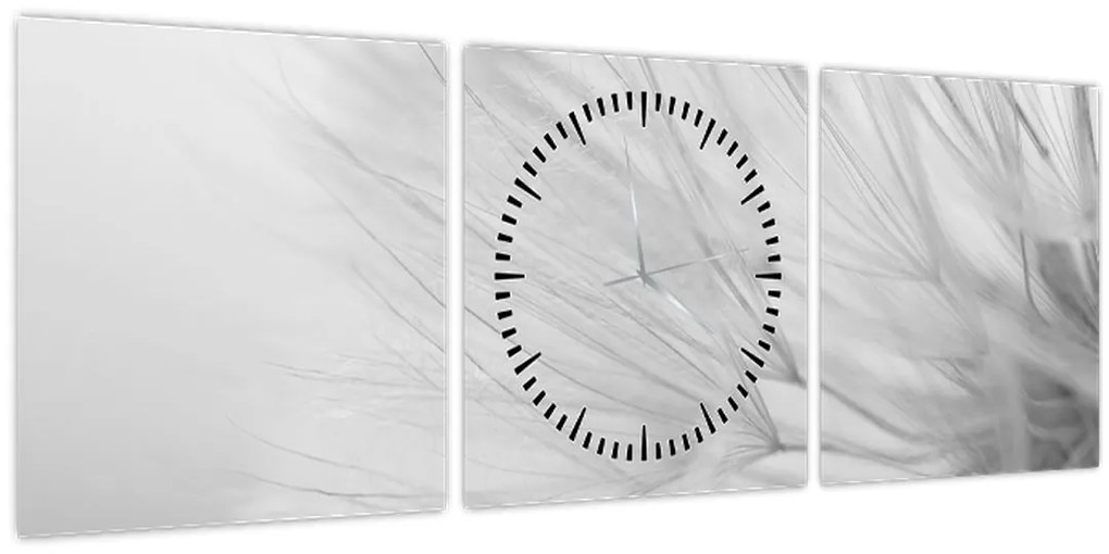 Tablou - Dandelion (cu ceas) (90x30 cm)