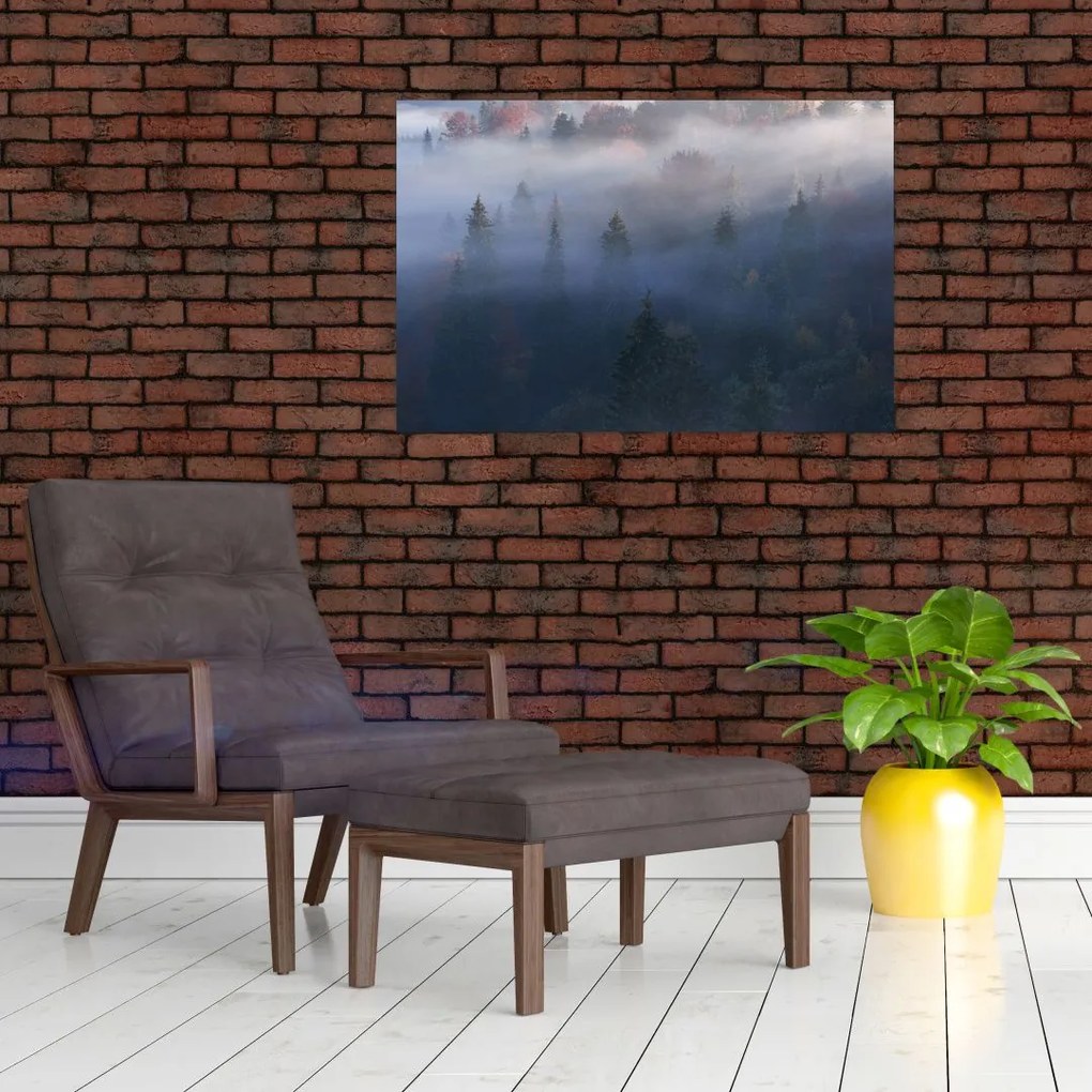 Tablou - Pădure în ceță, Carpați, Ucraina (90x60 cm)