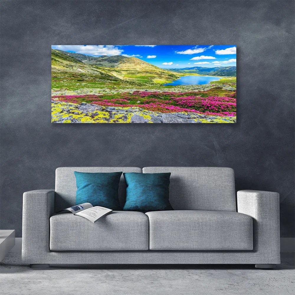 Tablou pe panza canvas Mountain Bay Meadow Natura Multi