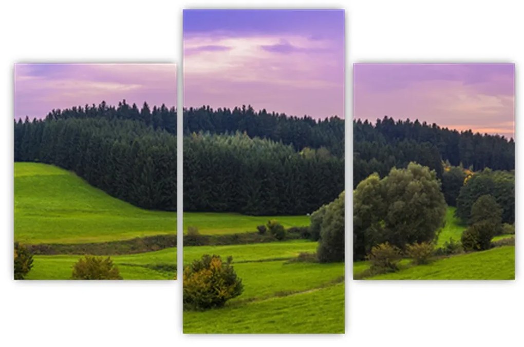 Tablou cu lunca (90x60 cm)