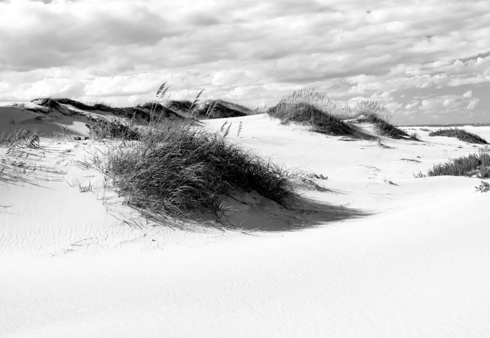 Fototapet - Peisaj cu Dune de Nisip – Alb-Negru