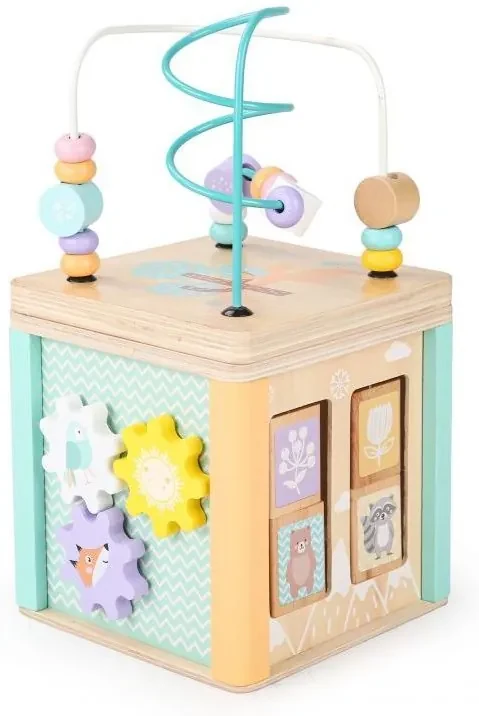 Cub educativ din lemn, cu accesorii Kid