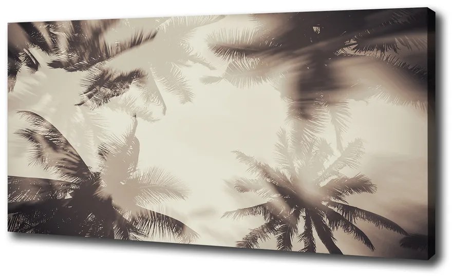 Print pe canvas Palmieri