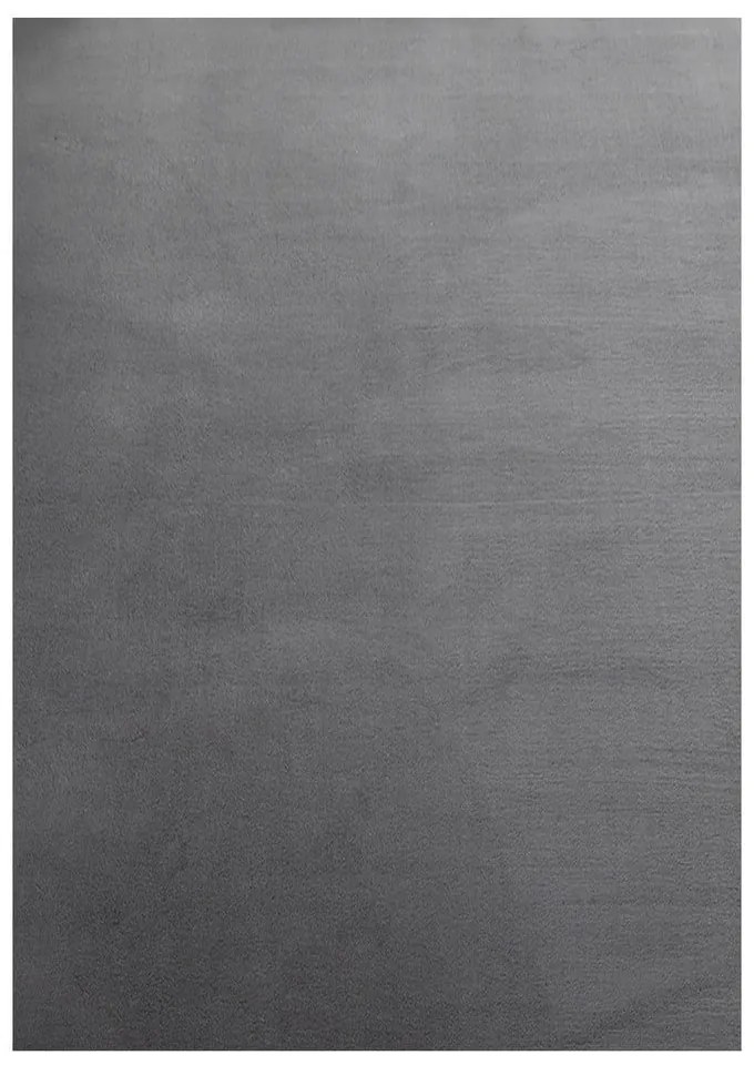 Covor tip traversă gri lavabil 80x250 cm Sky – Ayyildiz Carpets