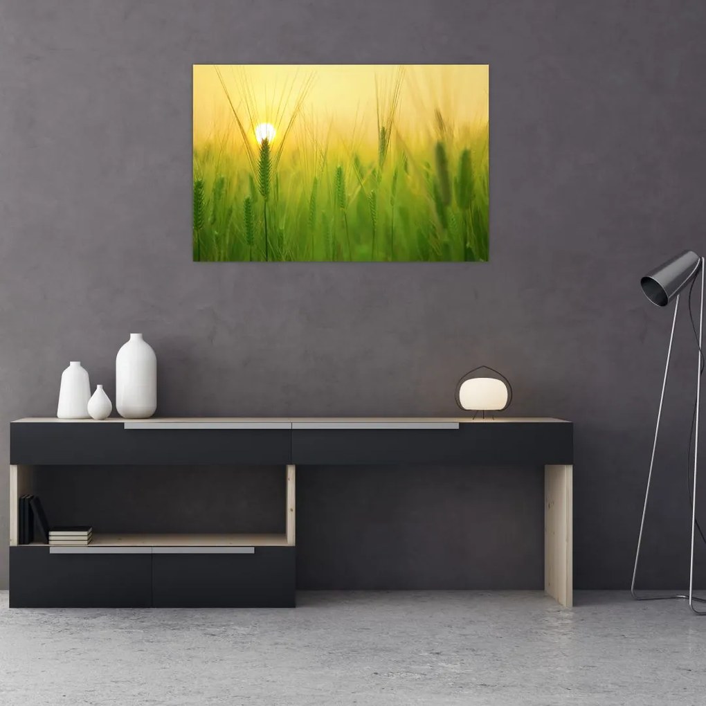 Tablou - Câmp cu cereale (90x60 cm)