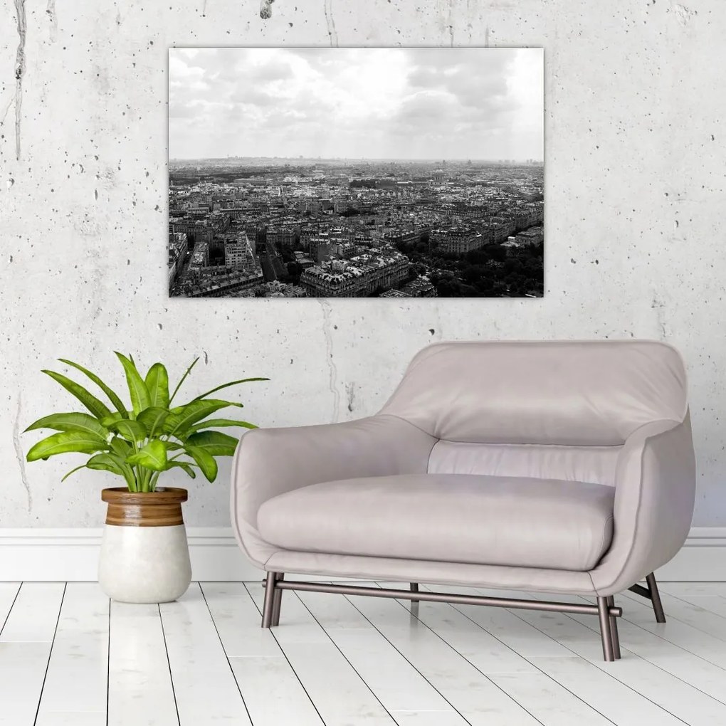 Tablou - Acoperișuri clădirilor din Paris (90x60 cm)