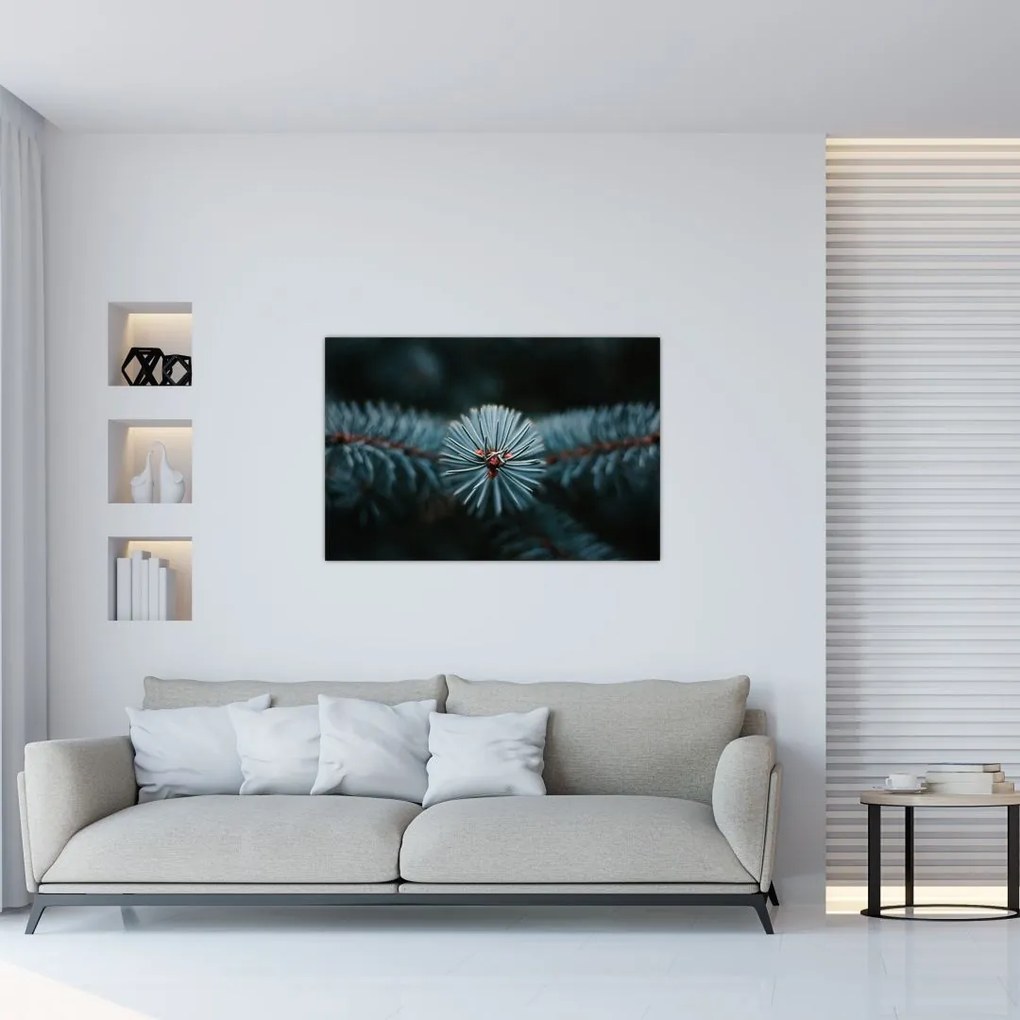 Tablou -Crenguțe ale unui conifer (90x60 cm)