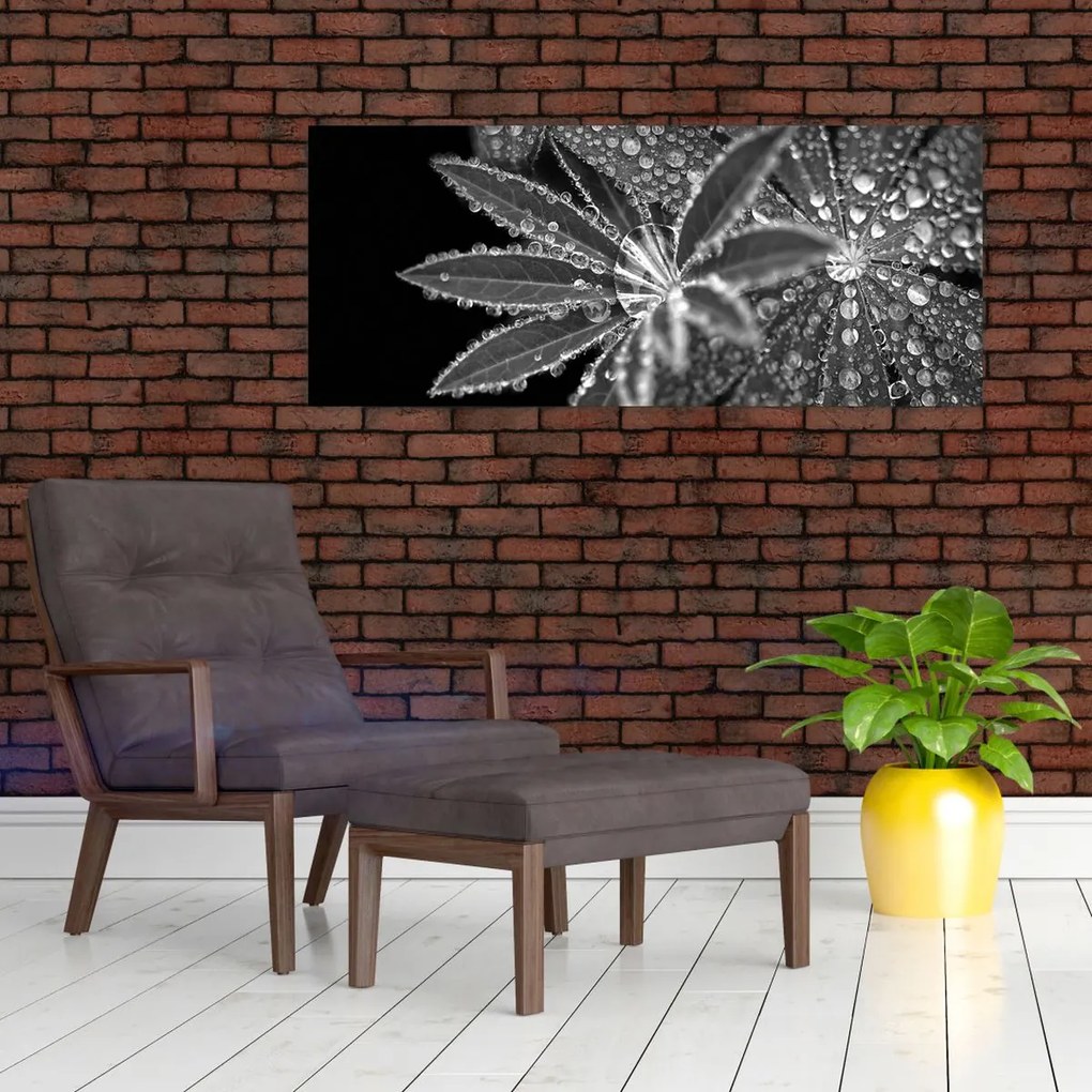 Tablou - Frunze cu picături (120x50 cm)