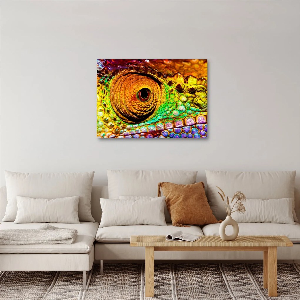Tablou - Cameleon (70x50 cm)
