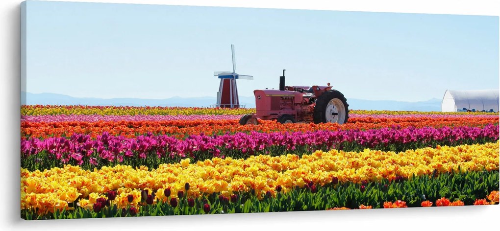 Tablou cu farma de lalele (120x50 cm)