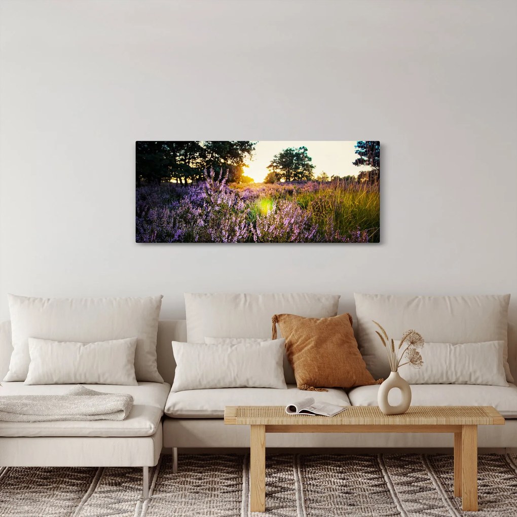 Tablou - Câmp cu lavandă (120x50 cm)