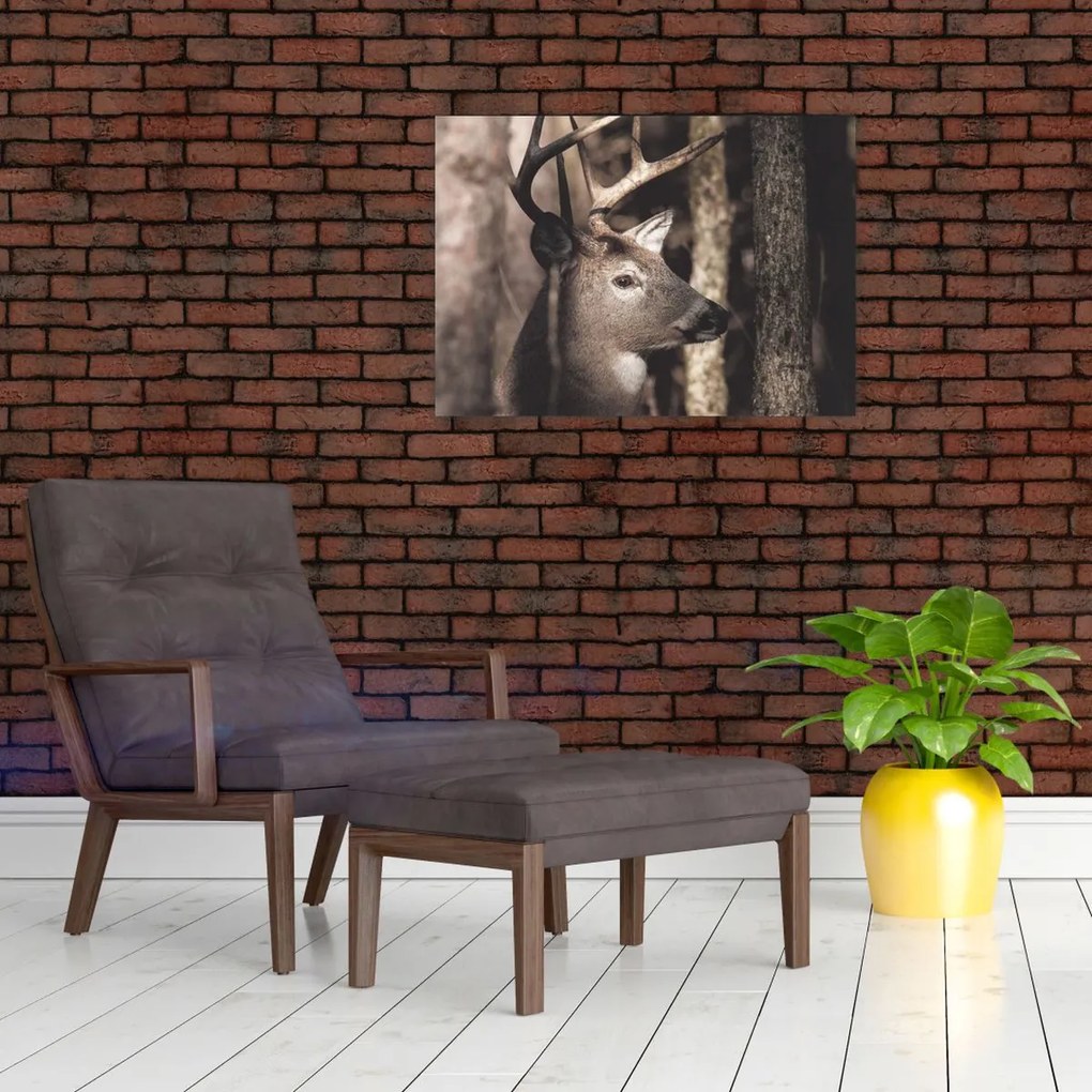 Tablou pe sticlă - Cerb în pădure (70x50 cm)